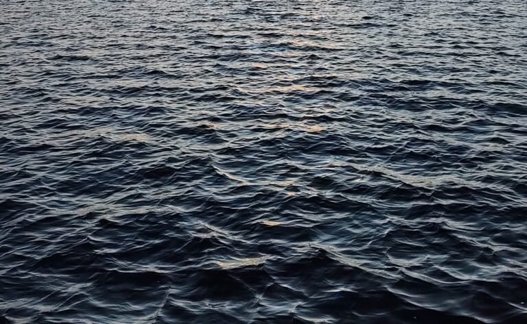 A photo of dark blue to black water with gentle waves. There are shimmering golden reflections on it. The waves seem to become denser and more individual at the bottom of the photo.